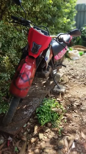 Honda 2010 Red
