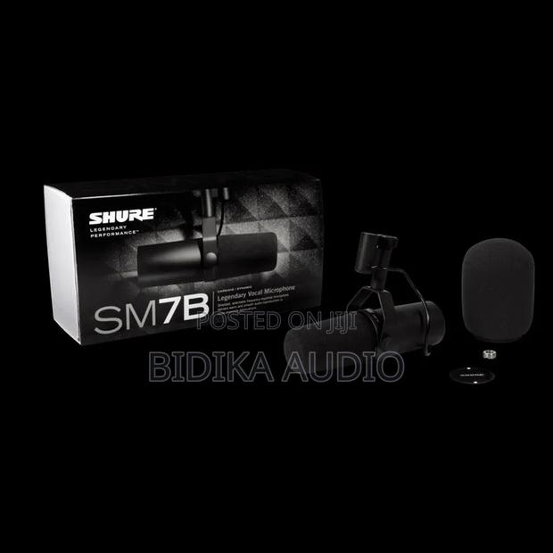 Shure Shure Sm7b Broadcast Microphone