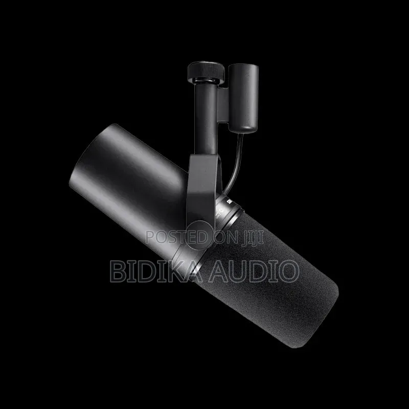 Shure Shure Sm7b Broadcast Microphone