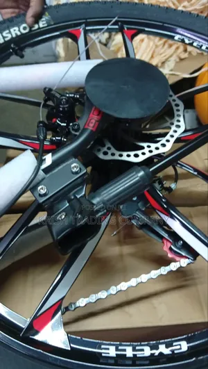 26" Designer Rim Carbon Fibre Body Bike