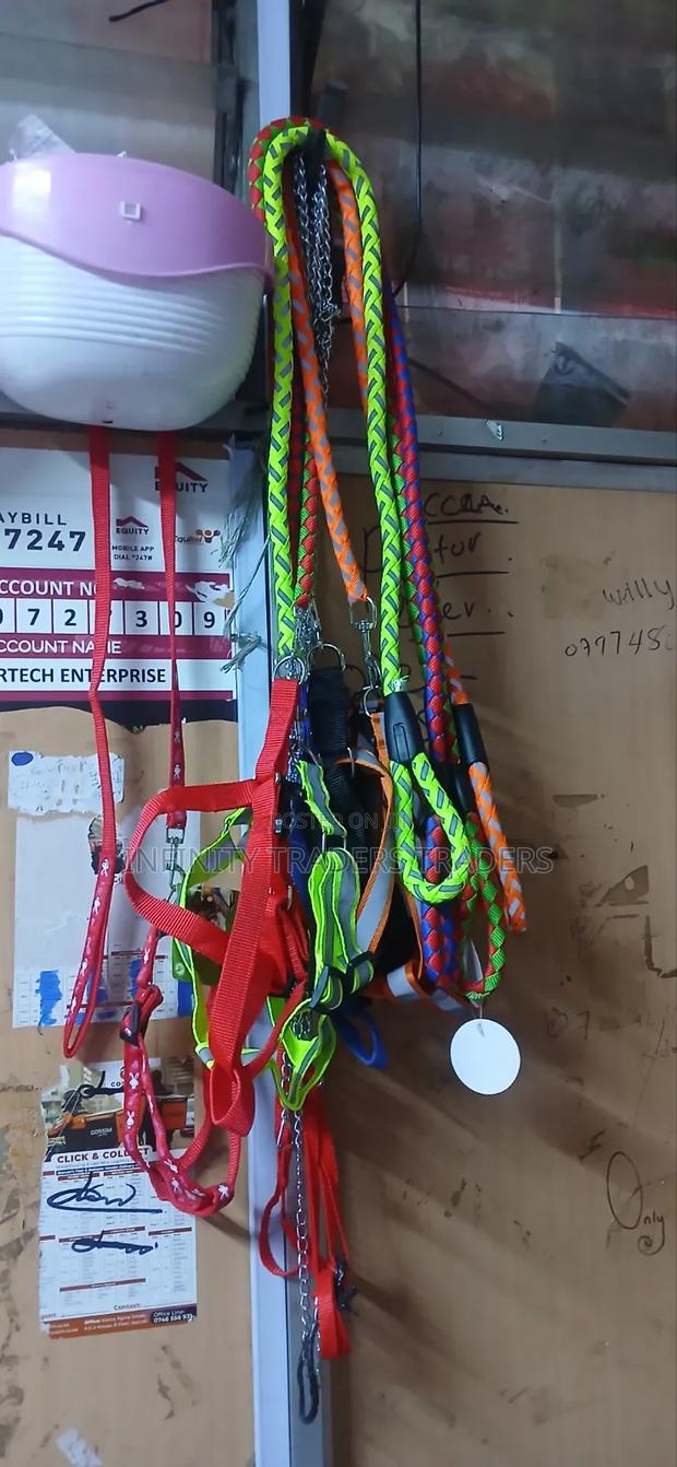 Dog Leash With Harnesses