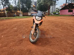 Raleigh 250cc 2019 Orange