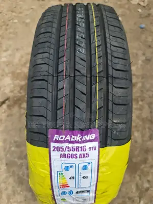 205 /55 R16 Roadking Tires