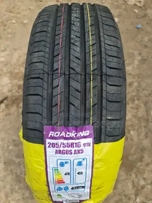 205 /55 R16 Roadking Tires