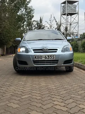 Toyota Allex 2006 Silver