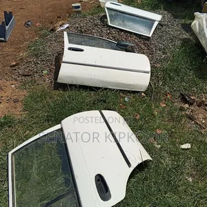 Toyota 100 Doors
