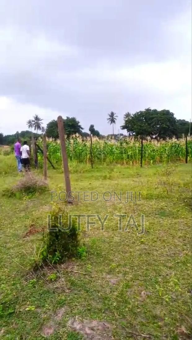 Land/Plot in Tezo for Quick Sale - thumbnail 5