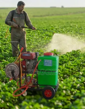 60litres Agricultural Sprayer Machine