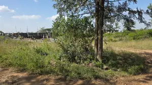 Plot for Sale in Rongai