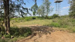 Plot for Sale in Rongai