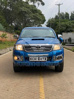 Toyota Hilux 2010 Blue