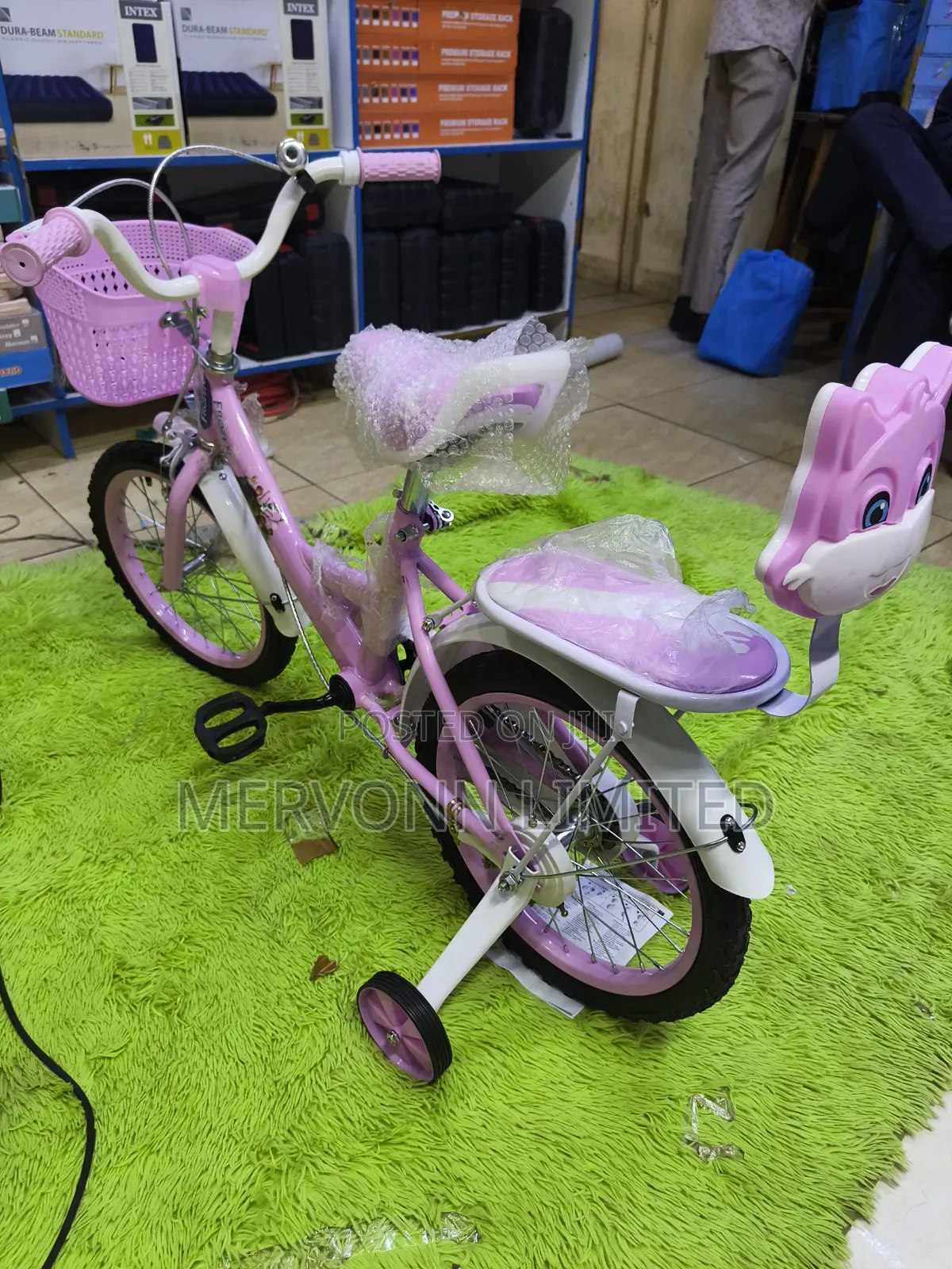 Frozen Kids Bike