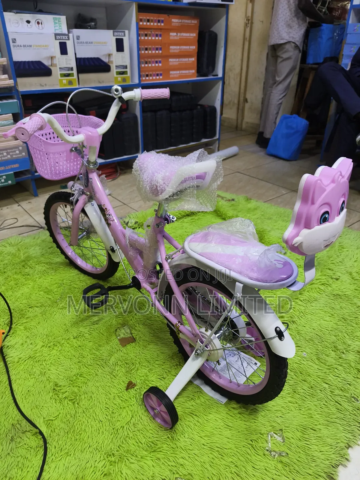 Frozen Kids Bike