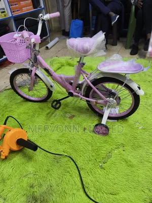 Frozen Kids Bike