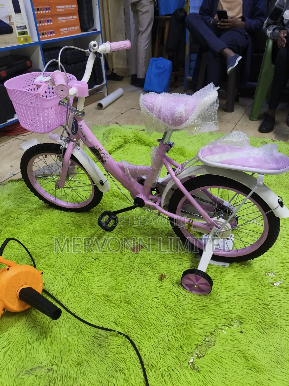 Frozen Kids Bike