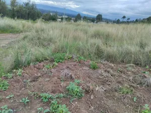 High-Potential Residential 1/8 Acre Plot in the Heart of Ol Kalou Town