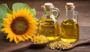 Sunflower Oil