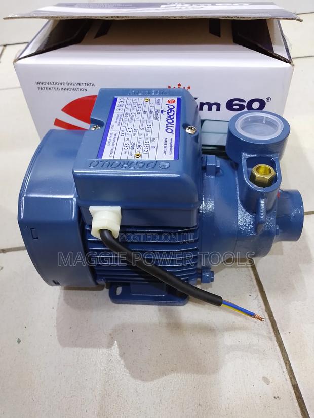 Heavy Duty and Approved Pedrollo Water Pump/Highly Pressure Control