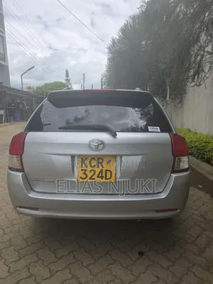 Toyota Corolla Fielder 2013 Silver