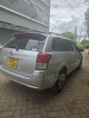 Toyota Corolla Fielder 2013 Silver