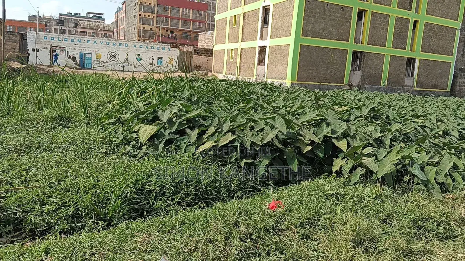Prime Commercial Plot For Sale