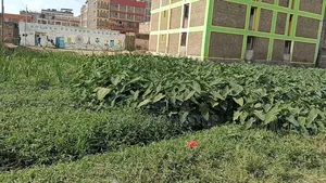 Prime Commercial Plot For Sale