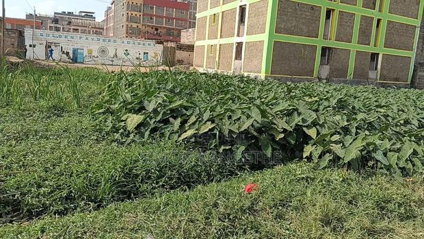 Prime Commercial Plot For Sale - thumbnail 2