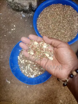 Pigeon Bird Feed Mix