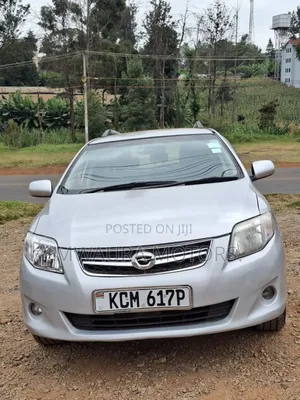 Toyota Corolla Fielder 2010 Silver