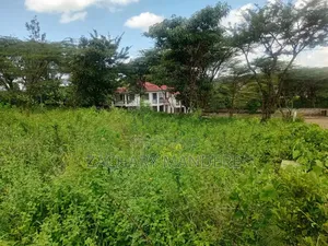 3 Acres for Sale in Olekasasi