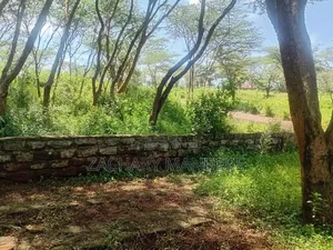 3 Acres for Sale in Olekasasi