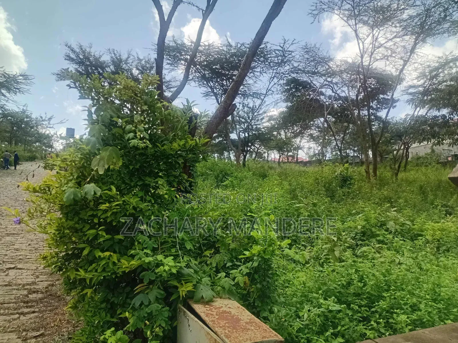 3 Acres for Sale in Olekasasi
