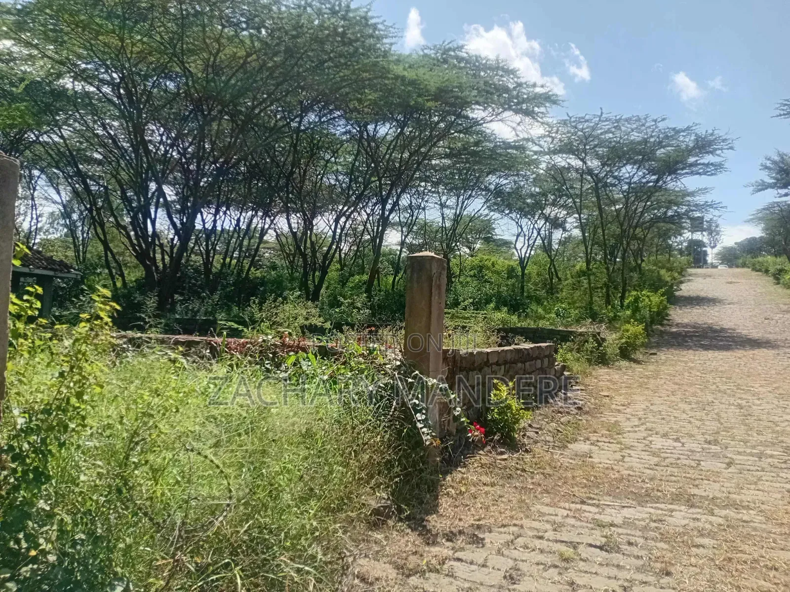 3 Acres for Sale in Olekasasi