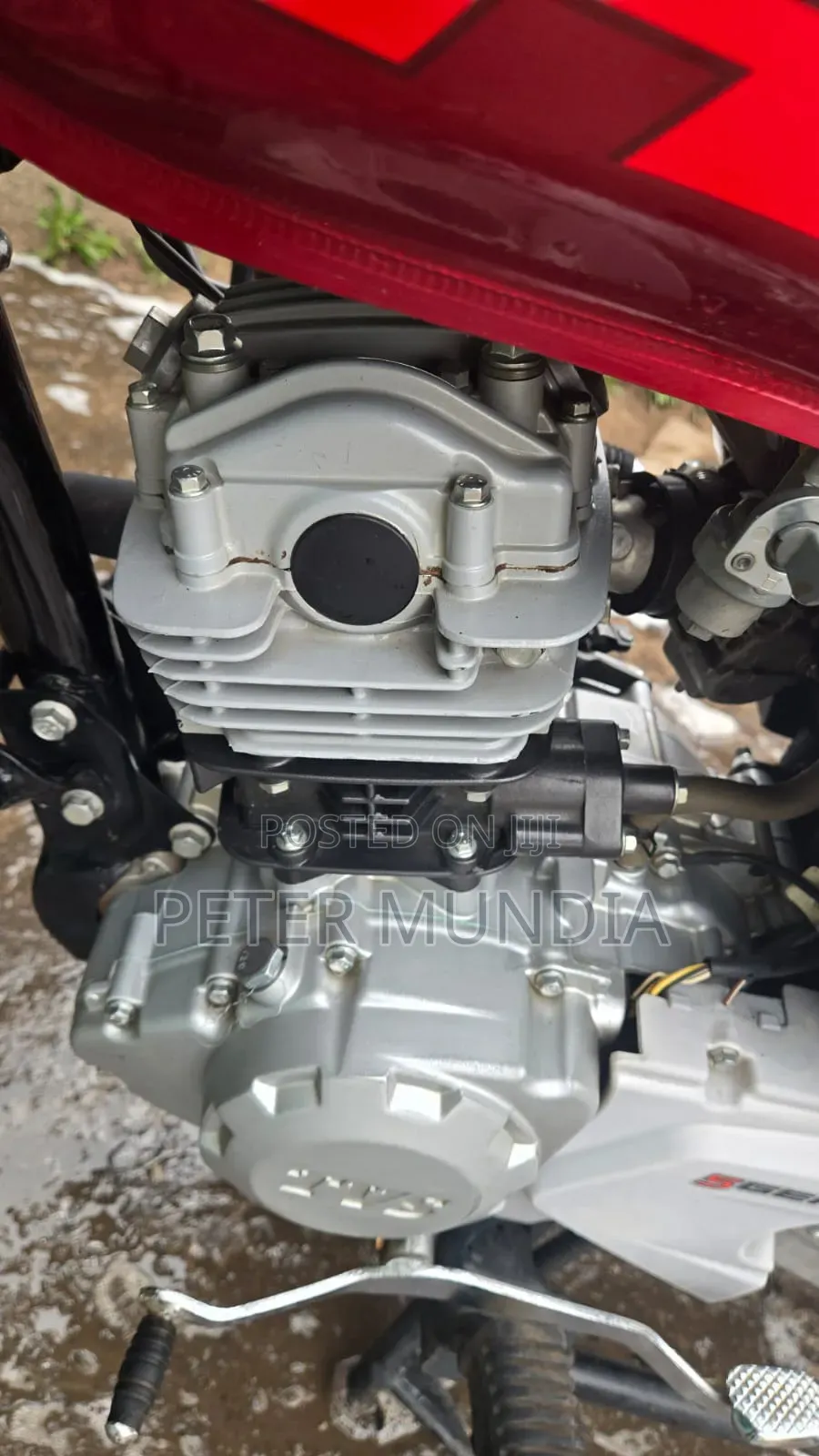 TVS HLX 125 2024 Red