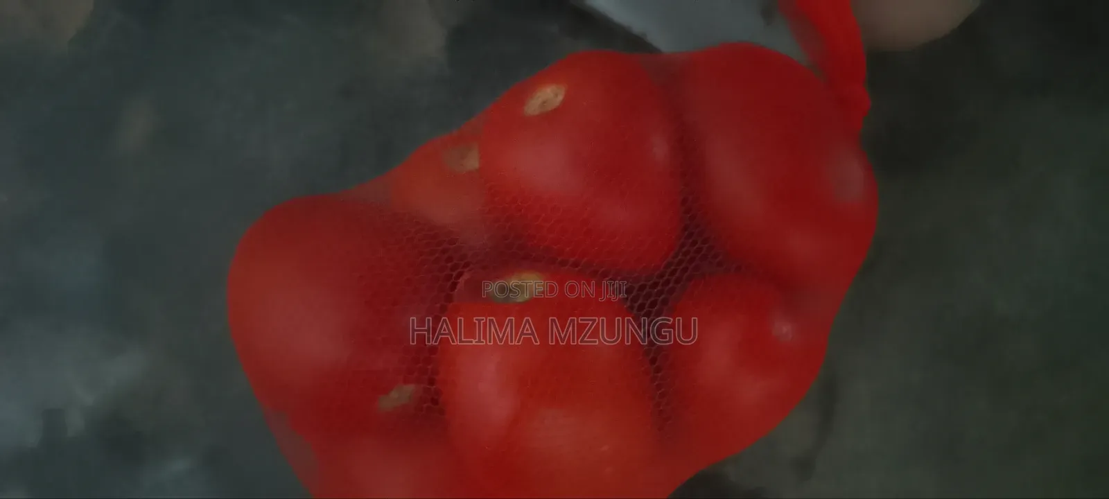 Fresh Tomatoes