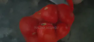 Fresh Tomatoes