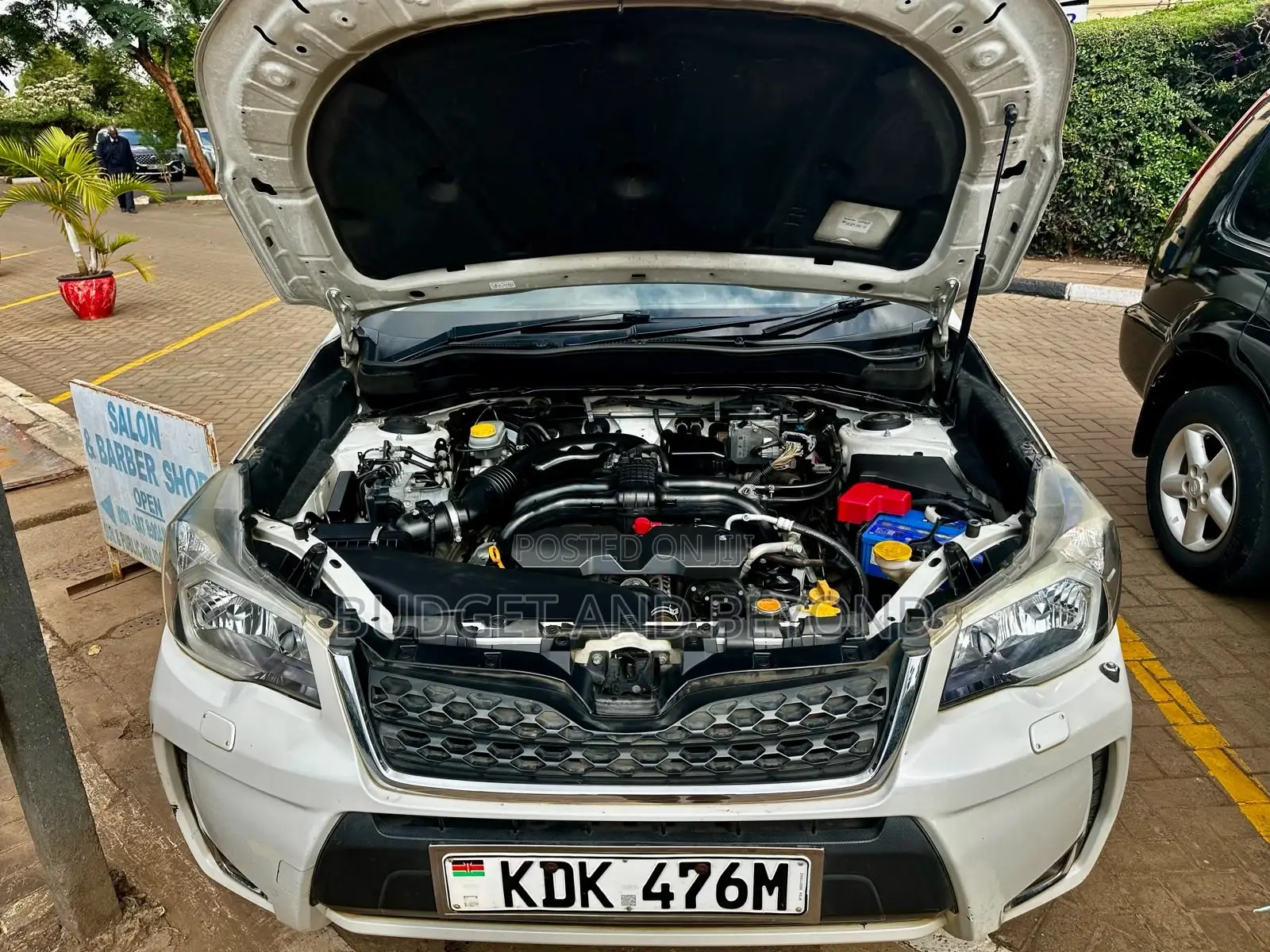 Subaru Forester 2015 Pearl