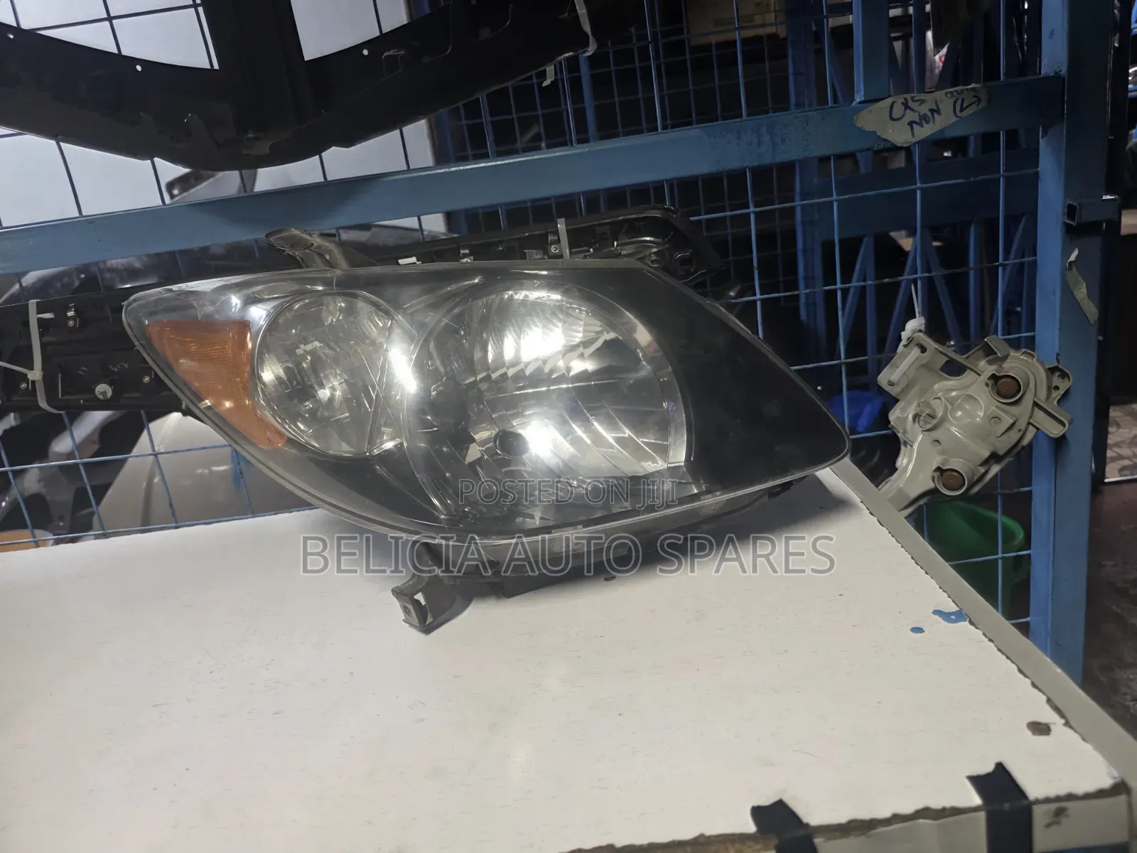 Voltz 2012 Non Xenon