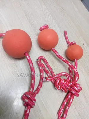 Indestructible Durable Rubber Dog Balls Toys With Braided Ropes