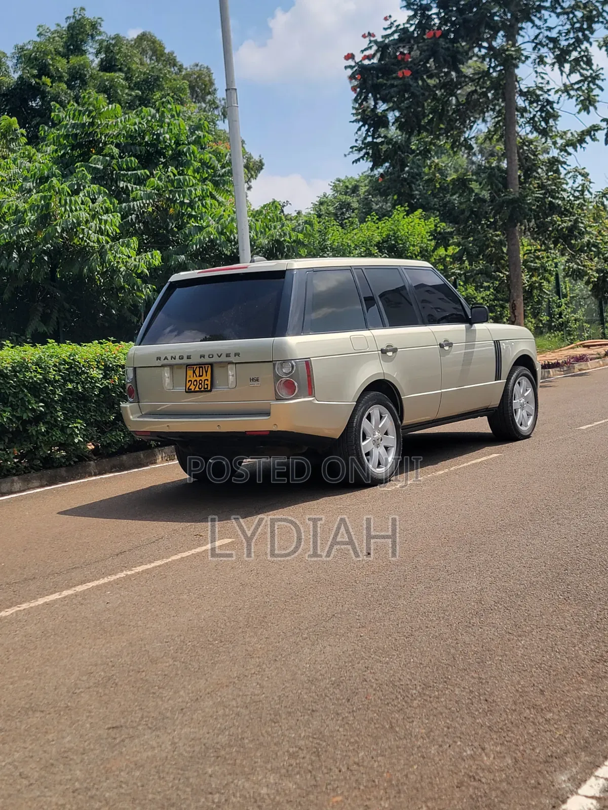 Rover 2000 2007 Gold