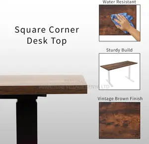 Ergonomic Computer Electric Desk.
