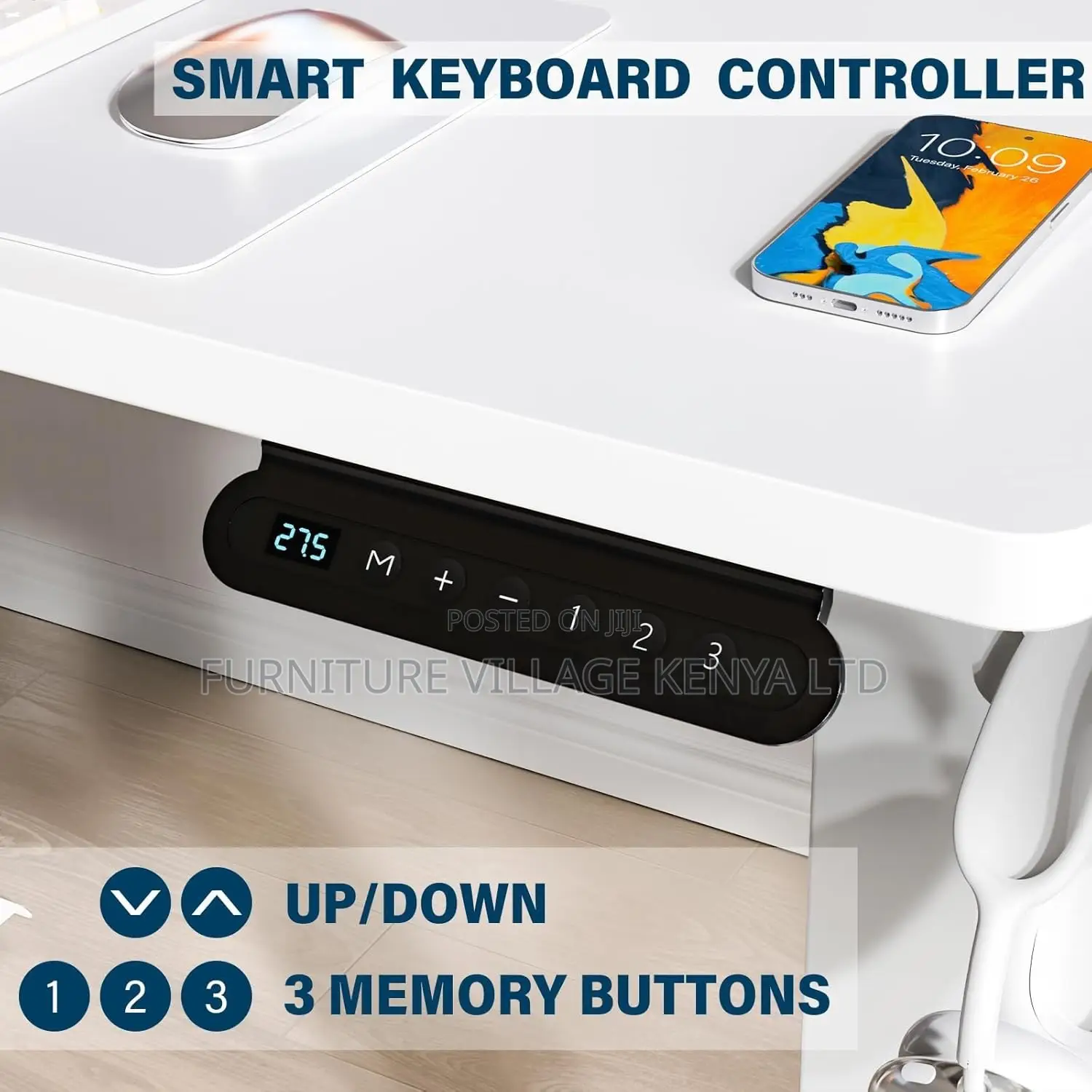 Ergonomic Computer Electric Desk.