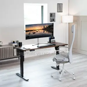 Ergonomic Computer Electric Desk.