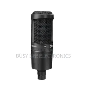 At2020 Professional Microphone With Studio Sound Quality
