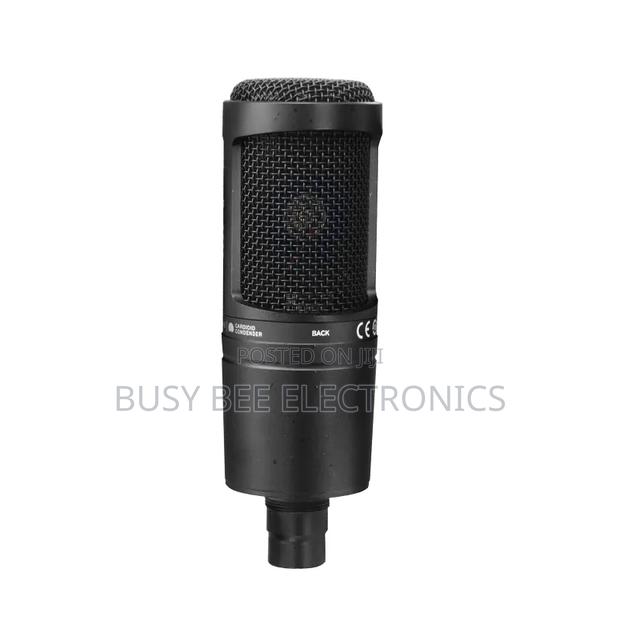 At2020 Professional Microphone With Studio Sound Quality - thumbnail 2