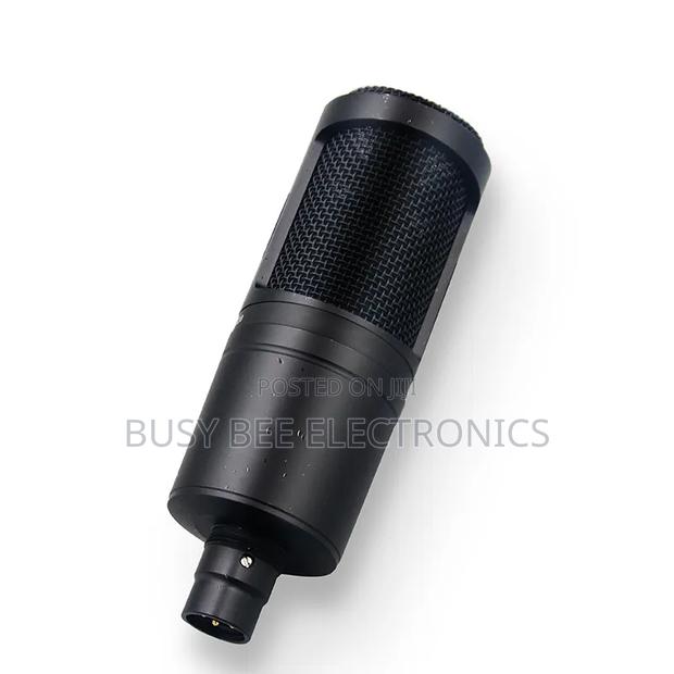 At2020 Professional Microphone With Studio Sound Quality - thumbnail 4