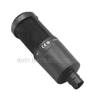 At2020 Professional Microphone With Studio Sound Quality