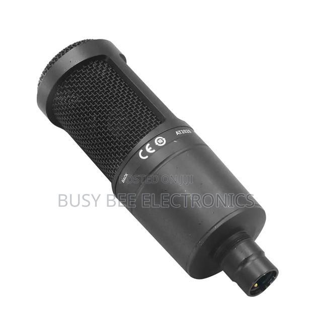 At2020 Professional Microphone With Studio Sound Quality - thumbnail 5