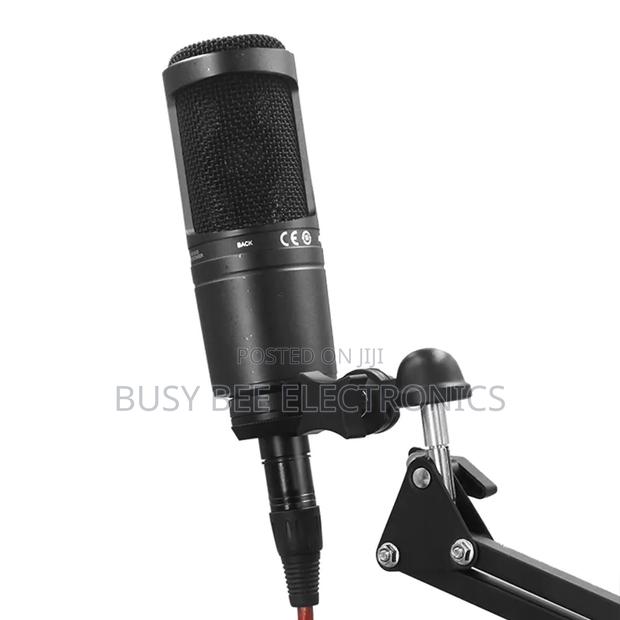 At2020 Professional Microphone With Studio Sound Quality - thumbnail 6