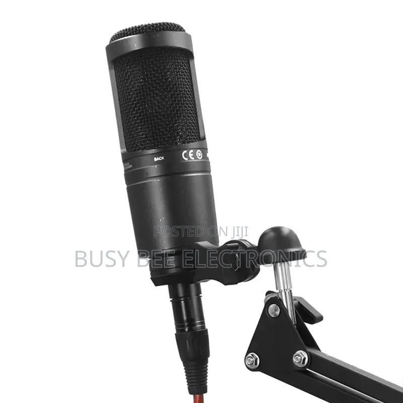 At2020 Professional Microphone With Studio Sound Quality